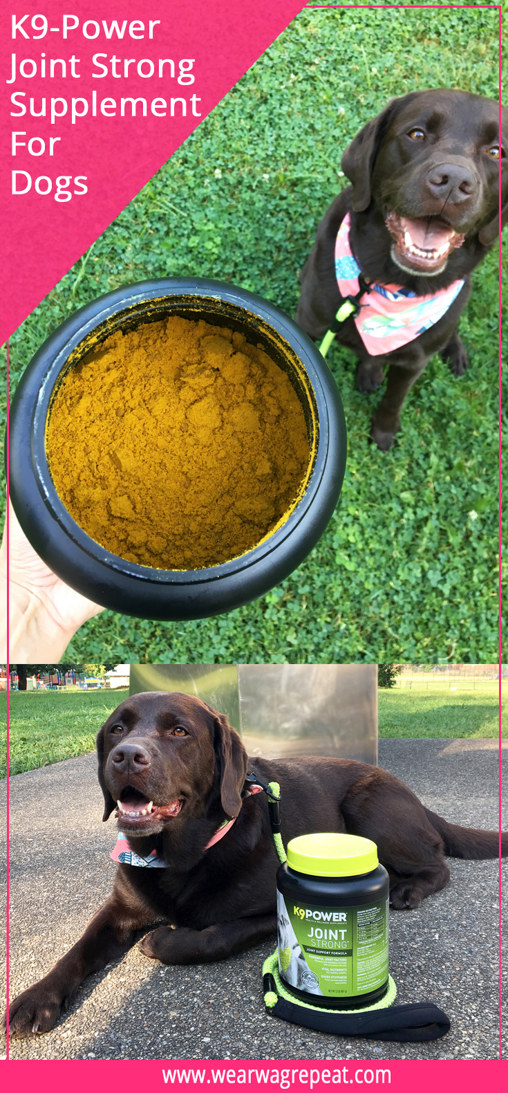 What I’ve Learned To Keep My Dog Healthy And Happy ⋆ Wear Wag Repeat