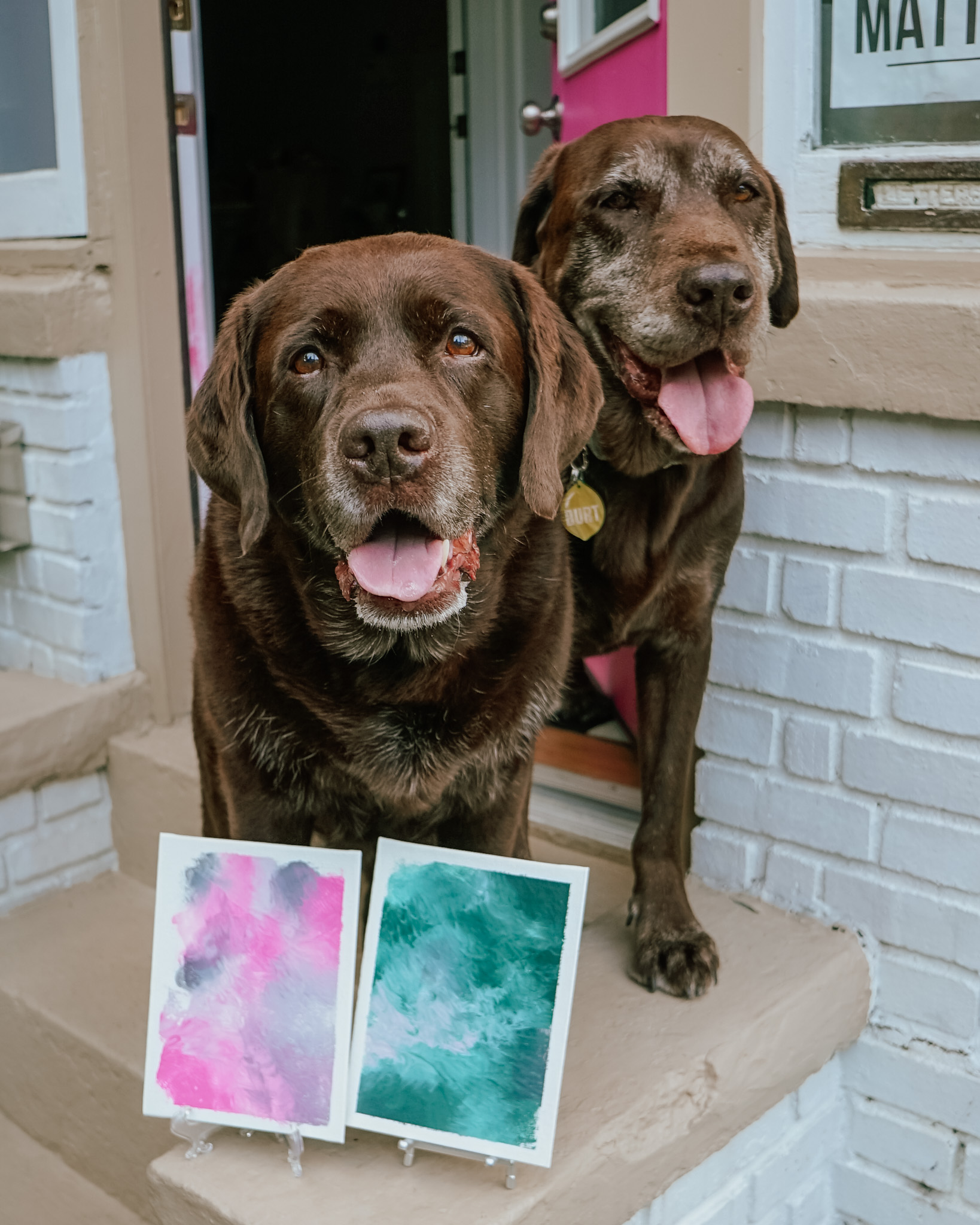 Paint with Your Dog Quick and Easy Lick Painting Tutorial Wear Wag