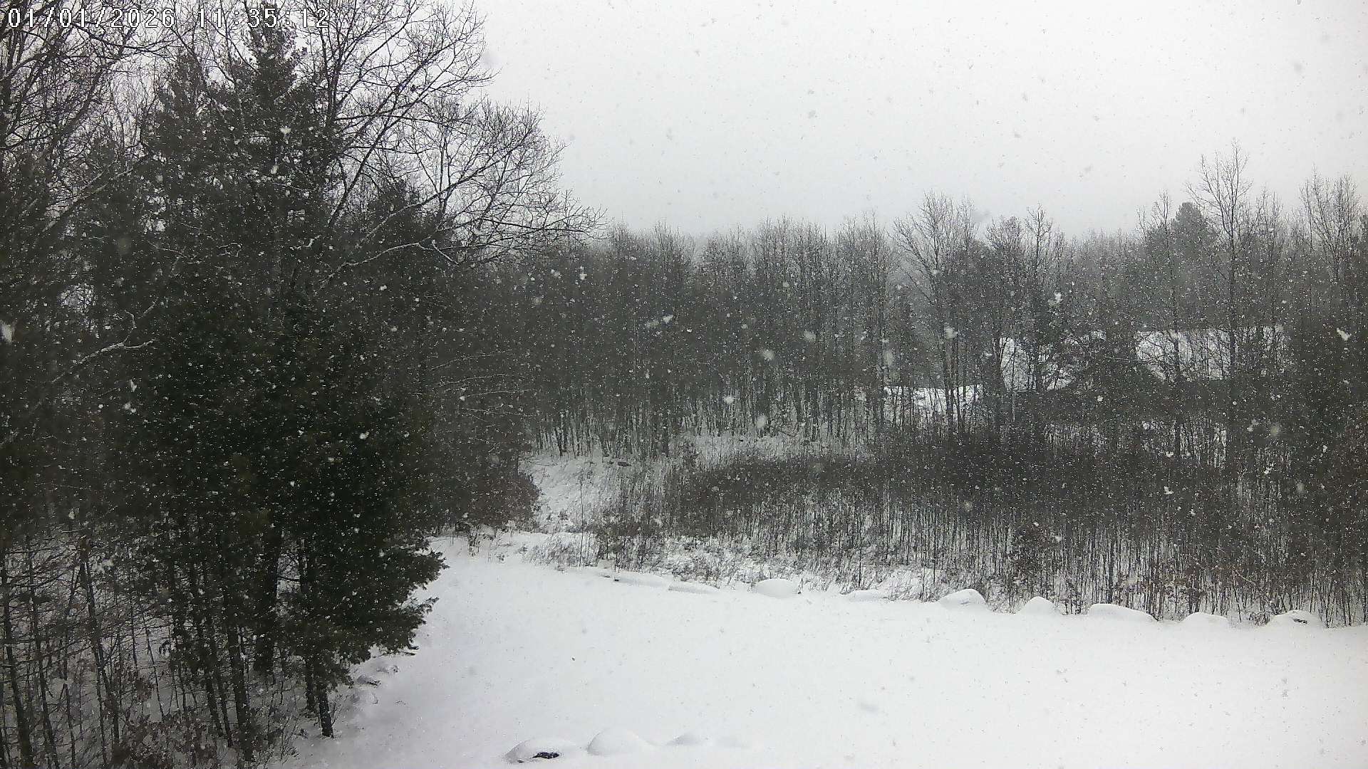Weather Cam 1 (Raymond Pond)