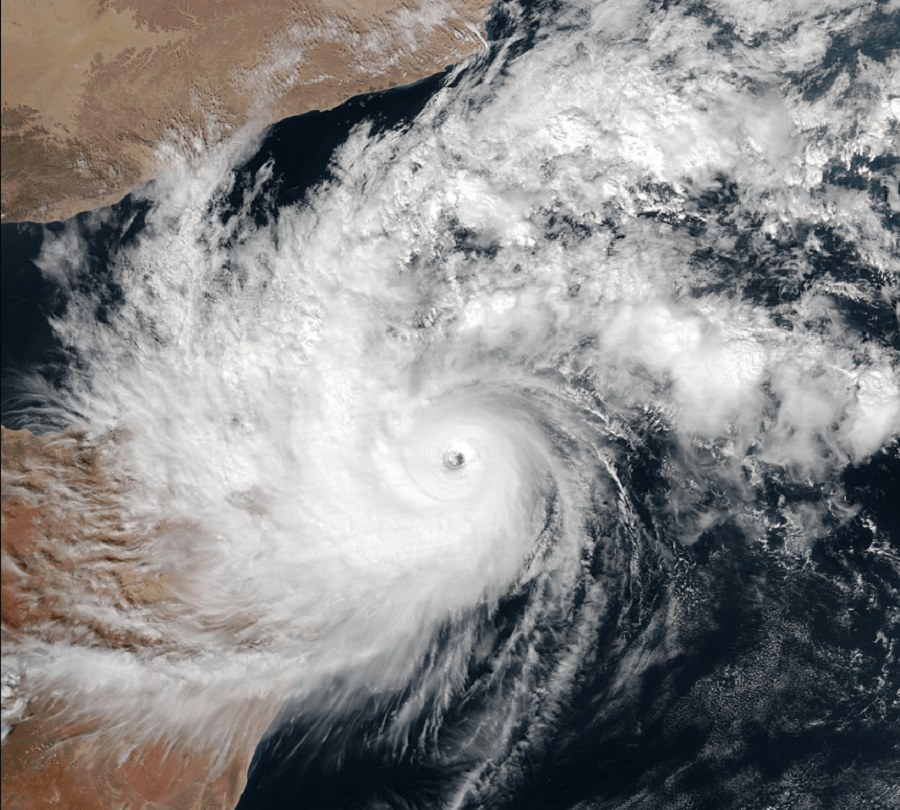 Skies Turn Black as Billions of Locusts Take Flight; Emergency Declared