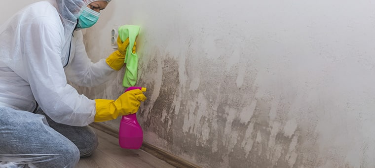 Mold Remediation Services in Jacksonville, FL Mold Removal Services
