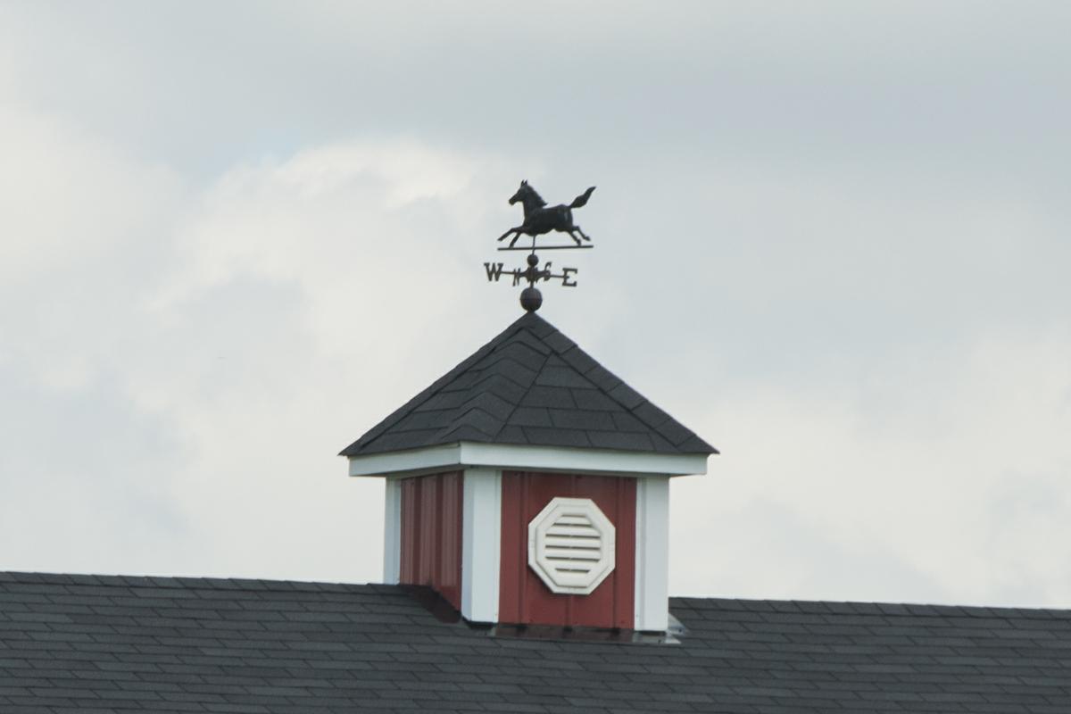 Horse Weathervane Weathervane Spotter