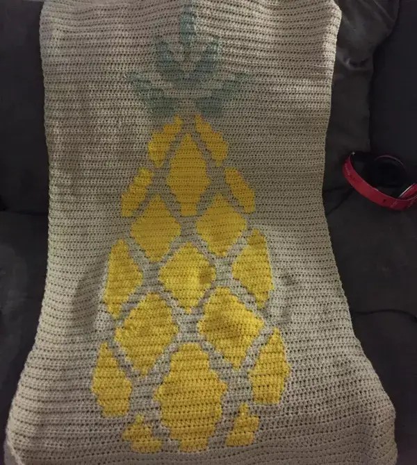 Pineapple Graphghan Blanket » Weave Crochet