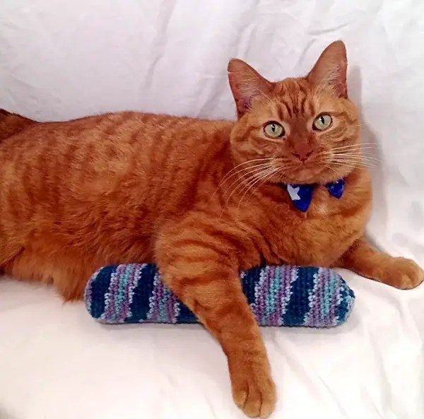 Crochet Catnip Kick Stick Cat Toy Pattern » Weave Crochet