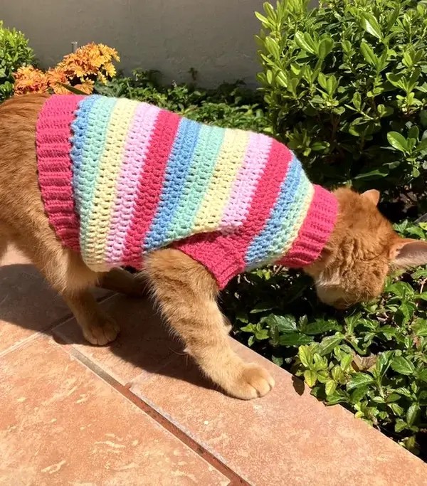 Crochet Rollneck Cat Sweater Pattern » Weave Crochet