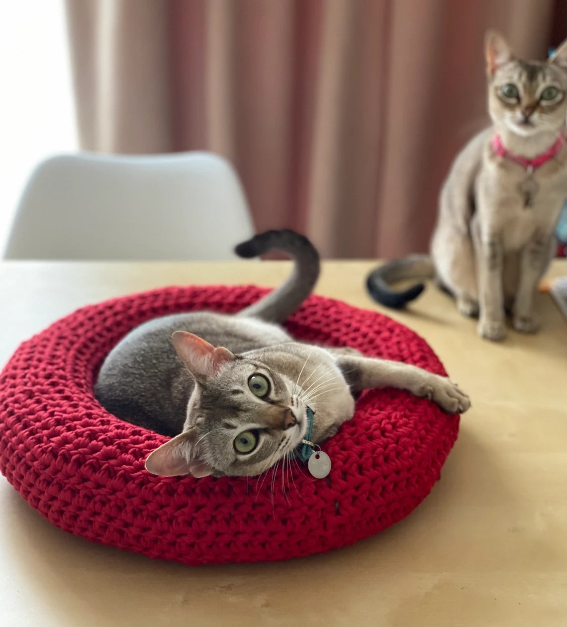 Doughnut Pet Bed » Weave Crochet