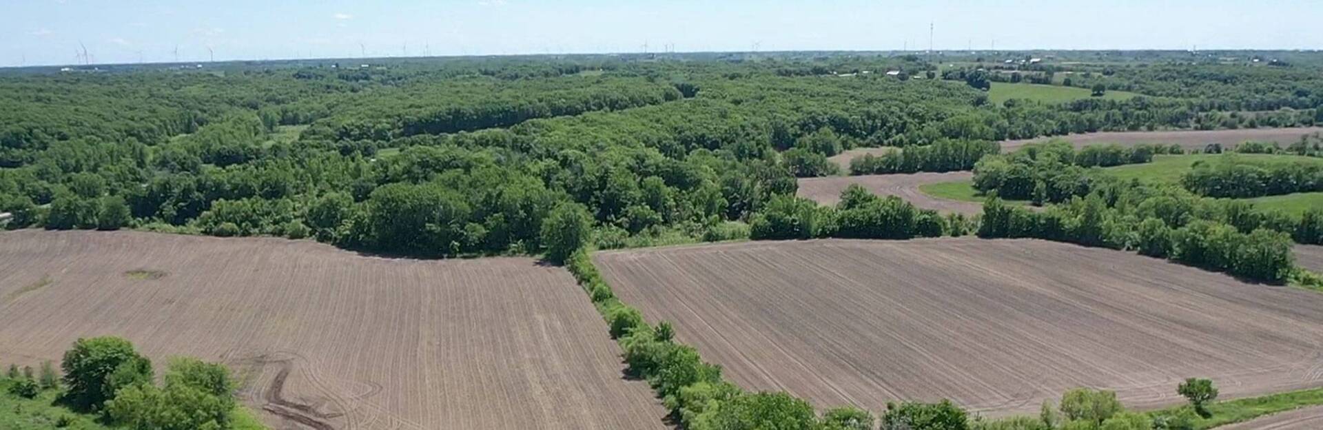 Weaver Auction Company Serving Iowa & Missouri