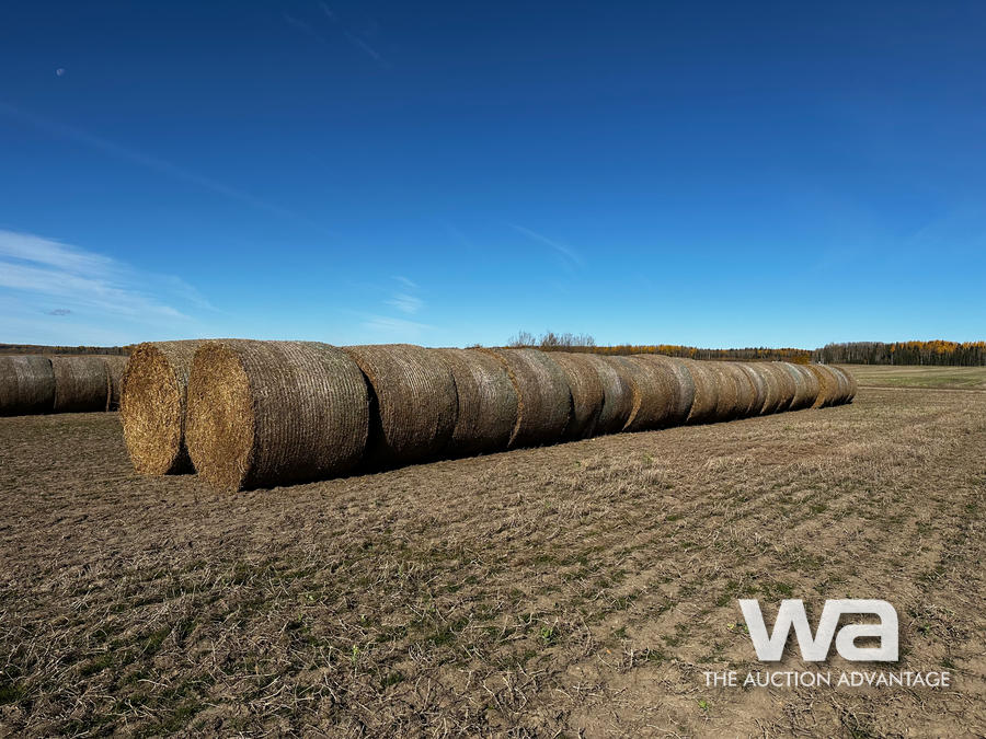 (40+/) PEA STRAW BALES