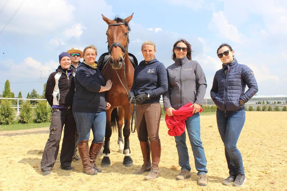 Broomhill Riding Centre Directory Danby Equestrian