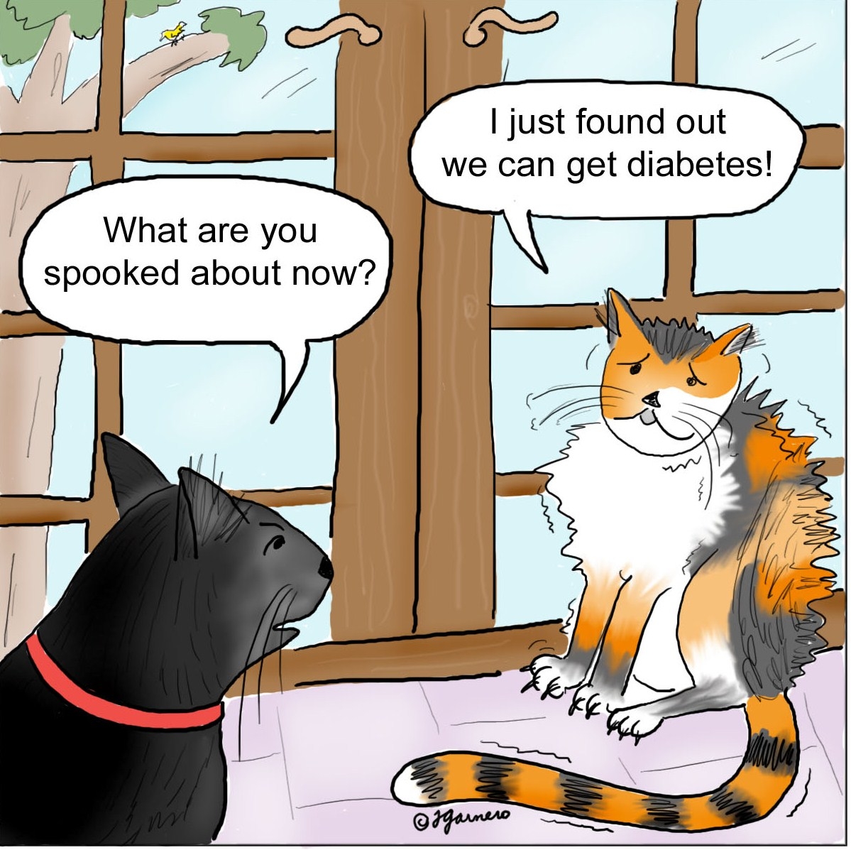 Why is insulin to important? An intro to diabetes Veterinary Advice, Animal News, and Animal