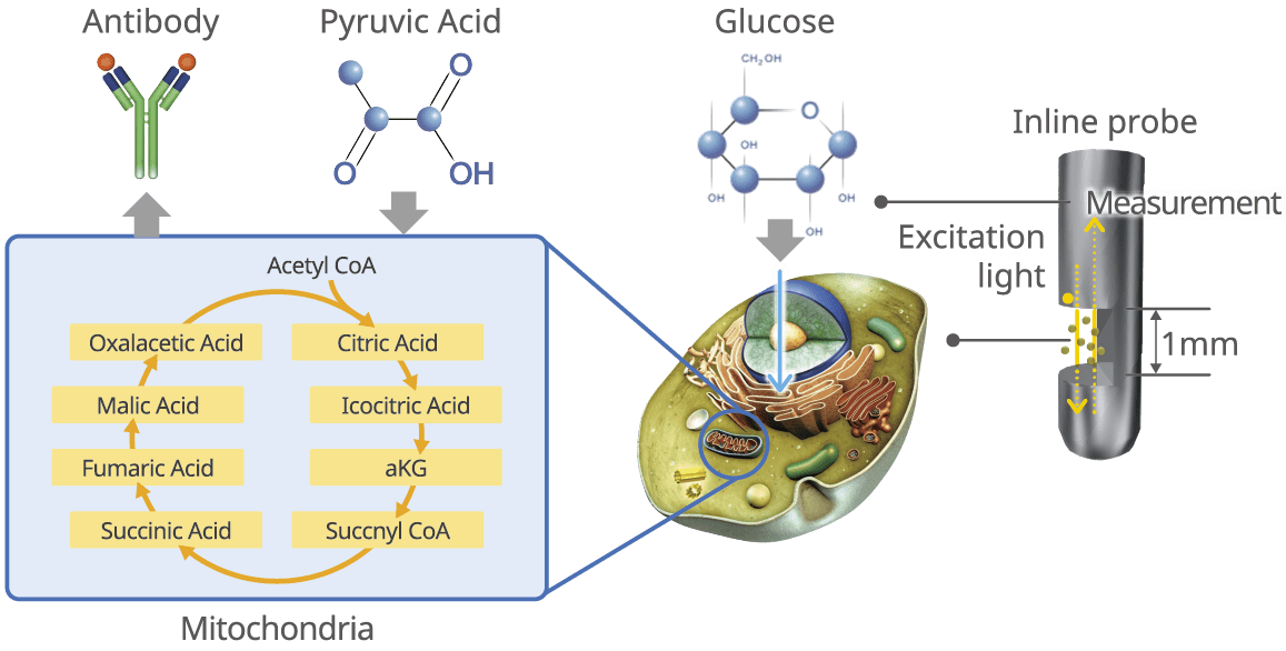 Advanced Control Bioreactor System BR1000 Yokogawa Electric Corporation