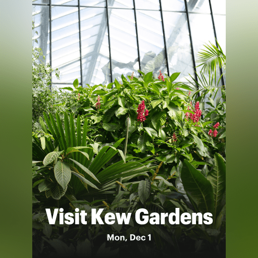 Visit Kew Gardens