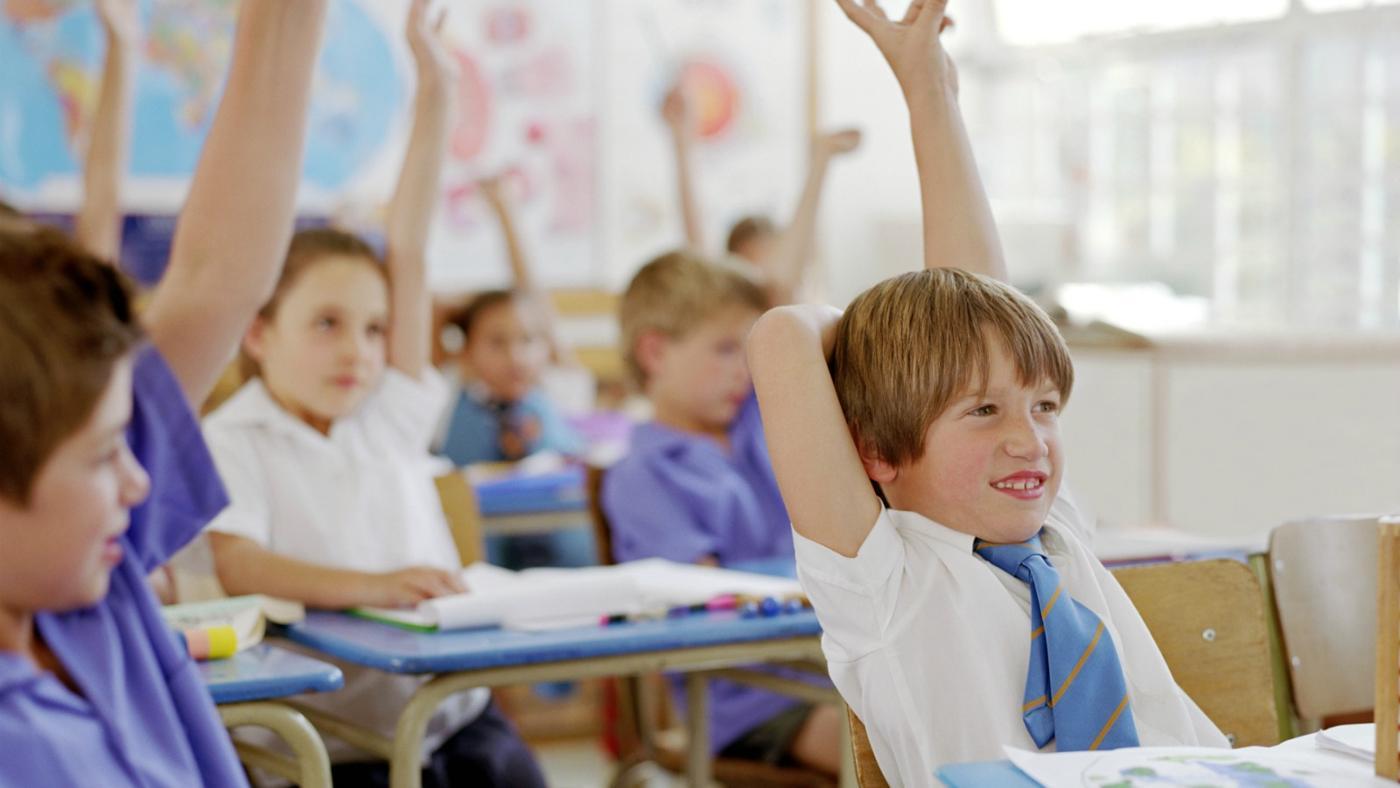 What are the Core Features of the Online Courses and How Can it