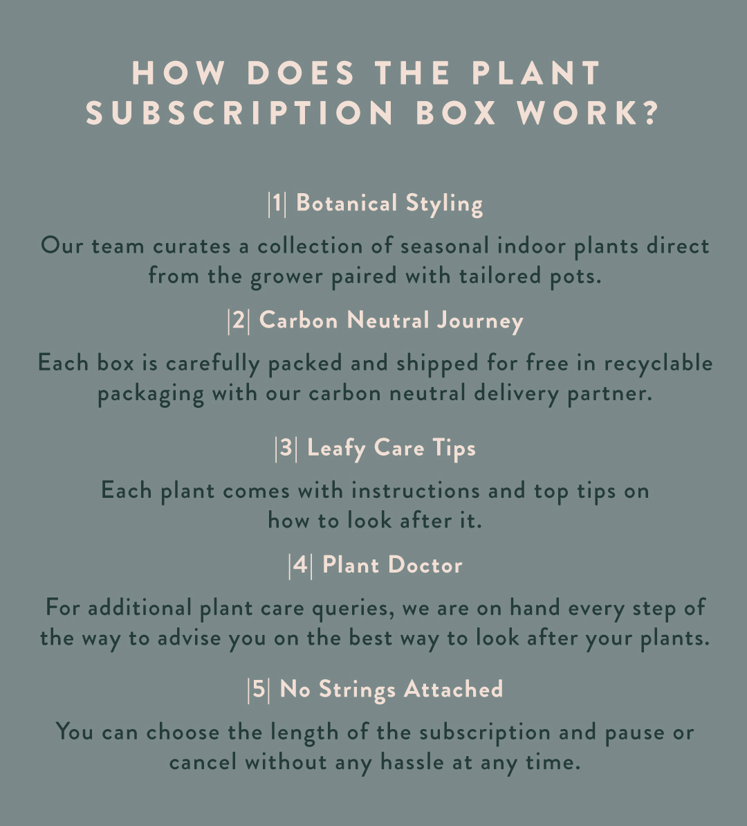 Leaf Envy referral code 20 off discount with a refer a friend invite