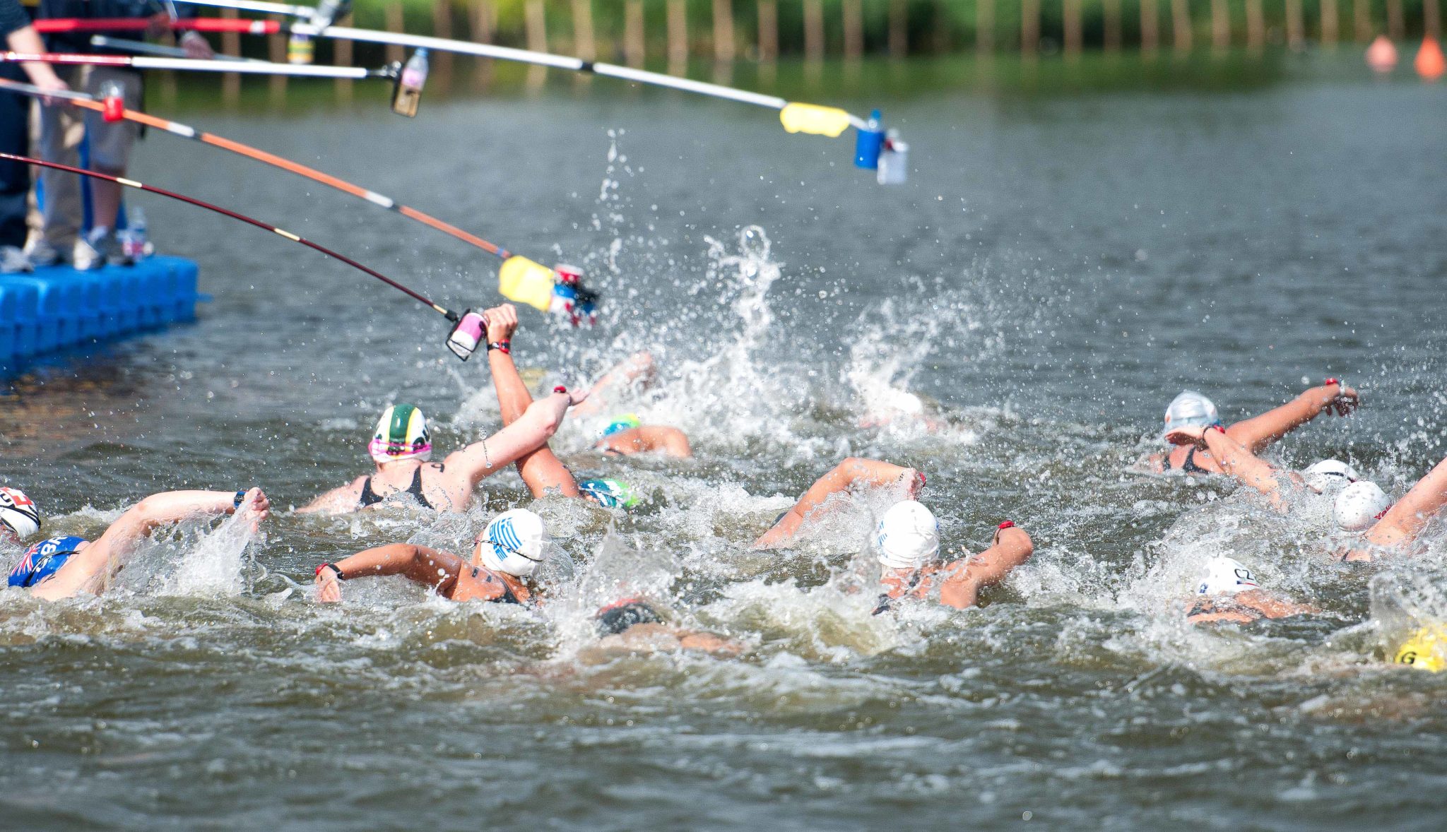 Open Water Swimming Performance Trends Swimming Science