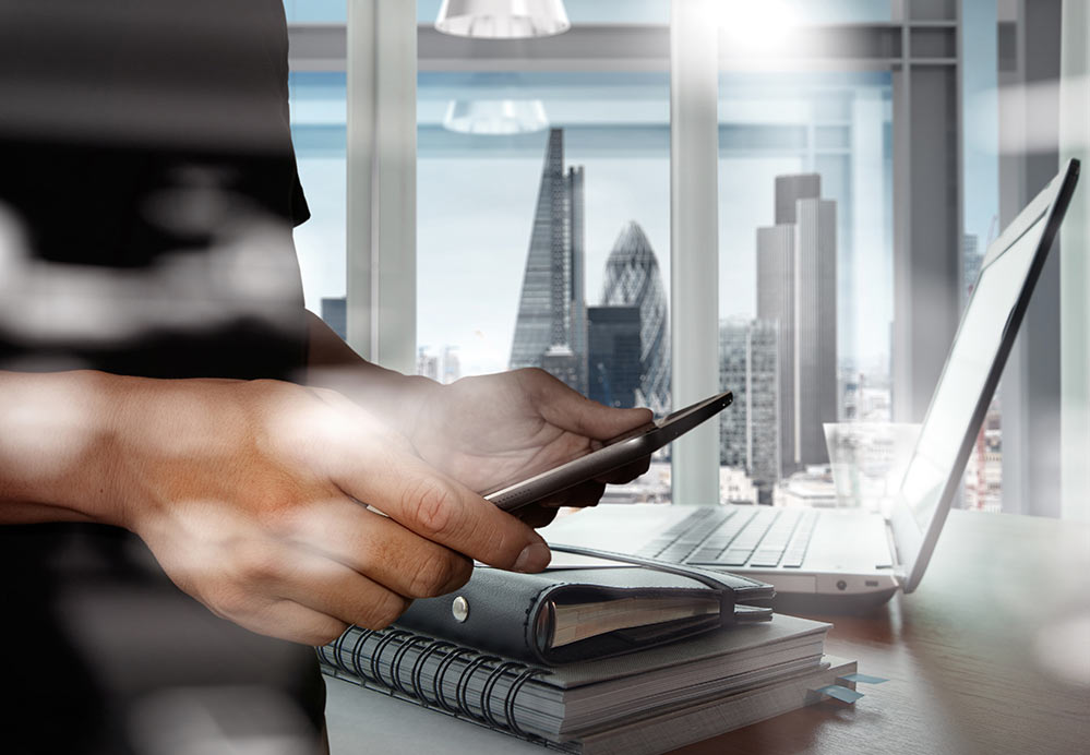 to Armadillo Business Information