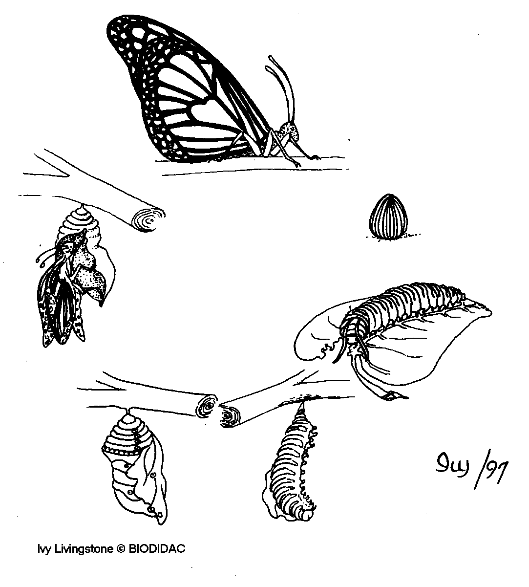 Untitled Document