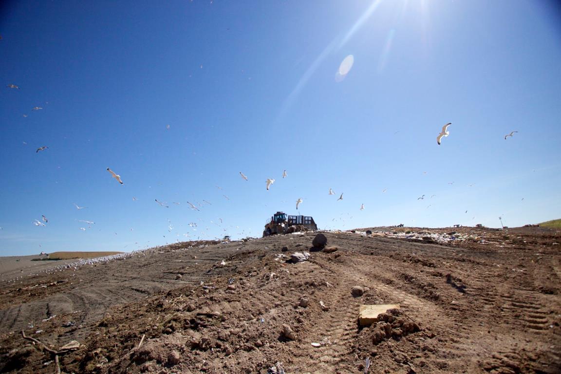 Kiefer Landfill ‹ AVAA Studios Design