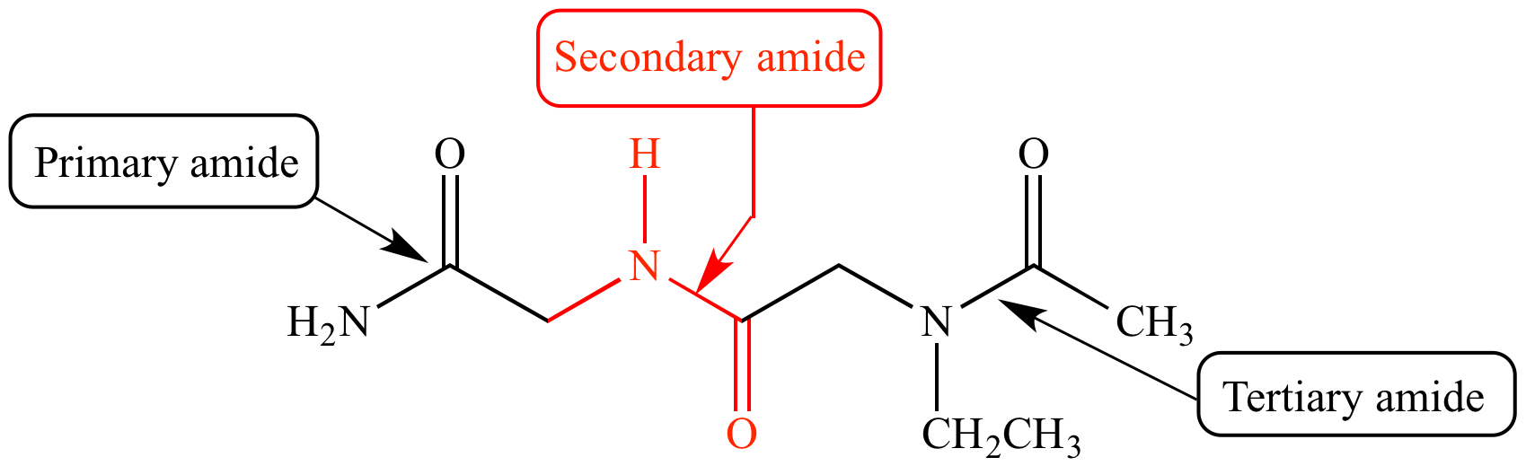 Illustrated Glossary of Organic Chemistry Secondary amide
