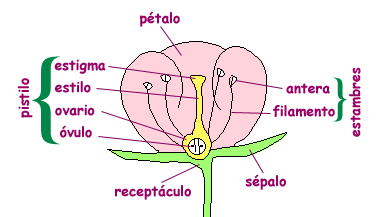 Caso 4 Background Information