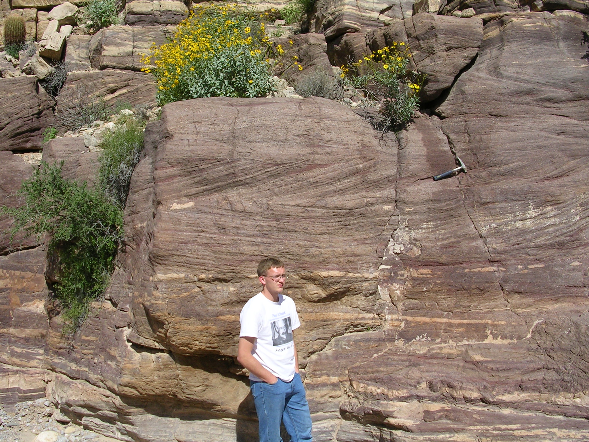 Cross Bedding Geology