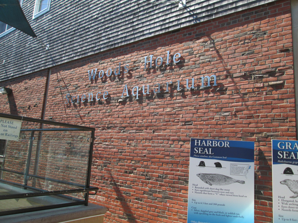 WoodsHole Science Aquarium