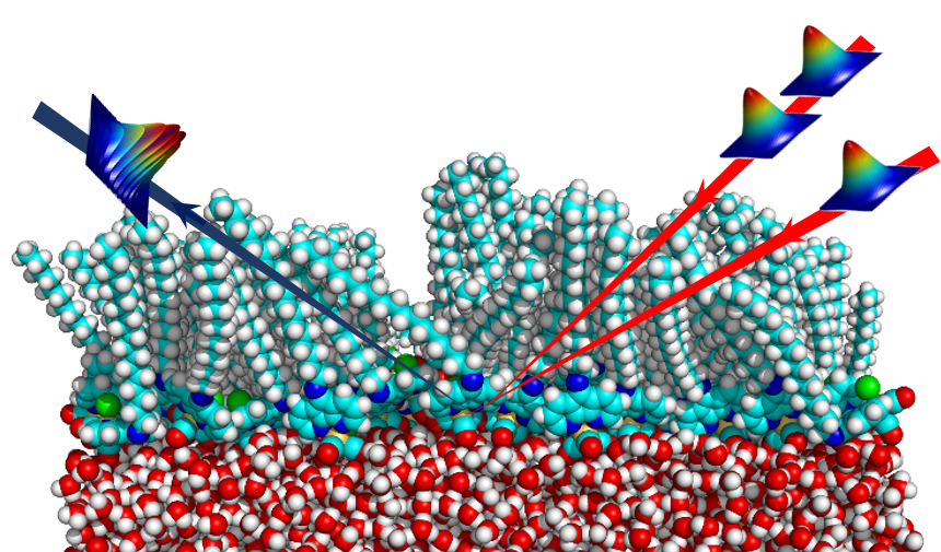 Fayer Lab Ultrafast to Ultraslow Dynamics of SelfAssembled