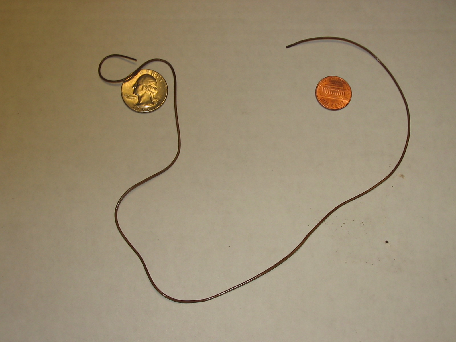 Thin dark worm in indoor cats' water bowl problem? The Goat Spot Forum