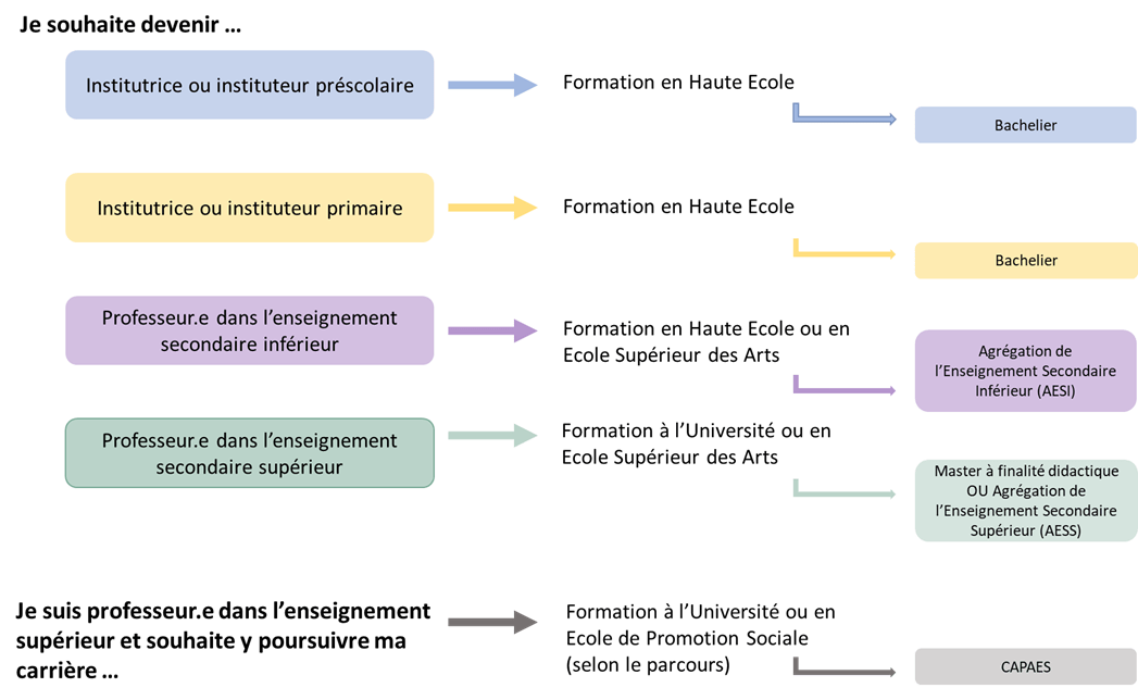 devenir enseignant 2023 Devenir Prof Avec L'umons - Ecole / Efe