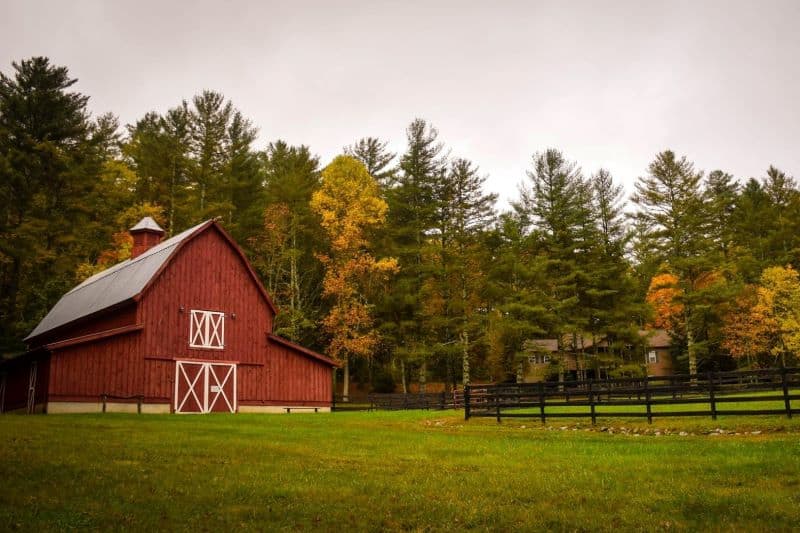 Best Cell Phone Signal Boosters for Rural Areas weBoost