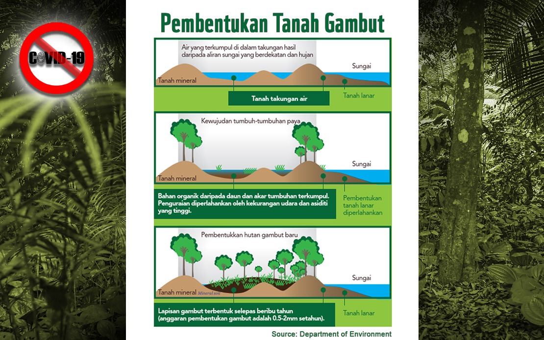 Isu Semasa Hutan Di Malaysia isuseramai