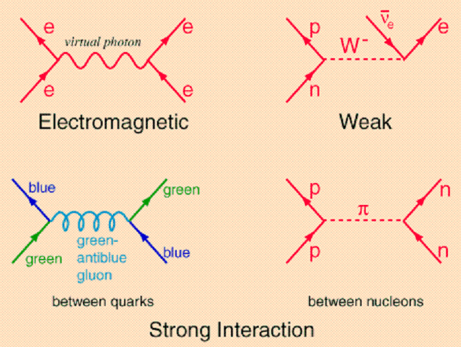 Force Bosons