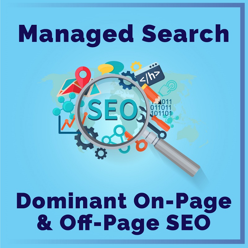 Managed Search Optimization Campaigns Web 2.0 Ranker