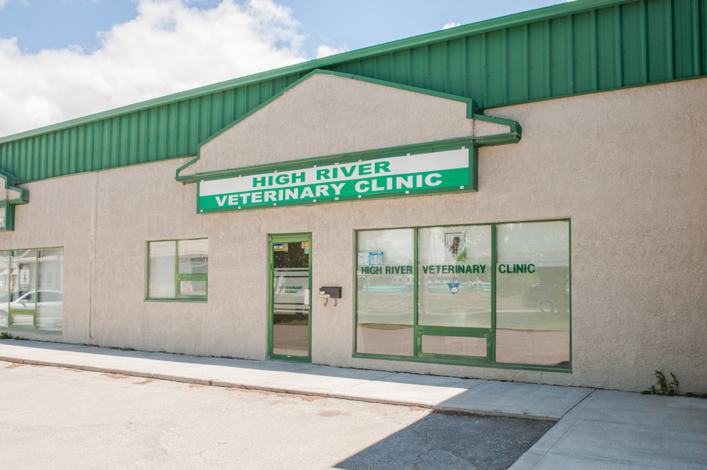 Our Veterinary Health Care Team Veterinarians High River High River
