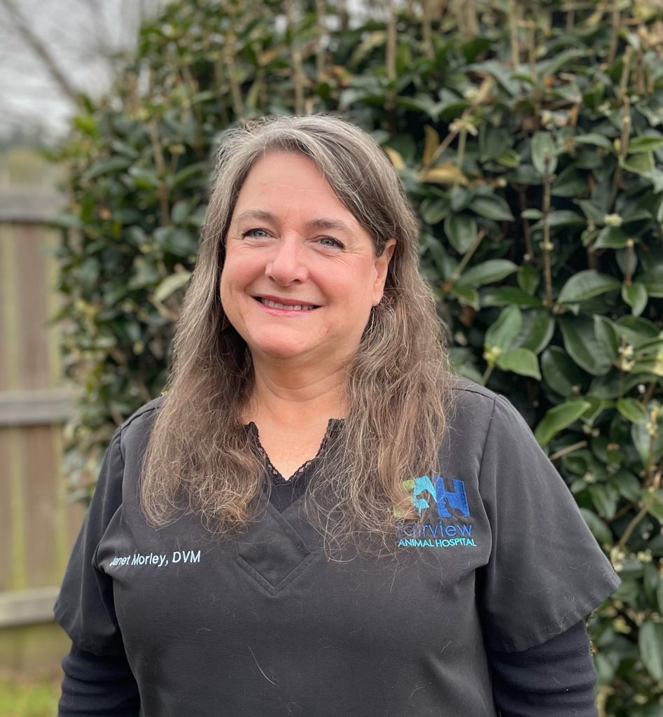 best care dental ellenwood ga Arleen Talbert