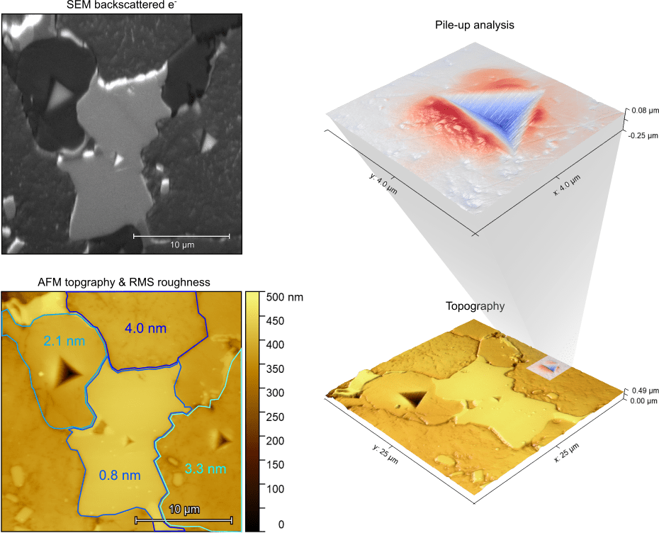 AFMinSEM measurement of High speed steel