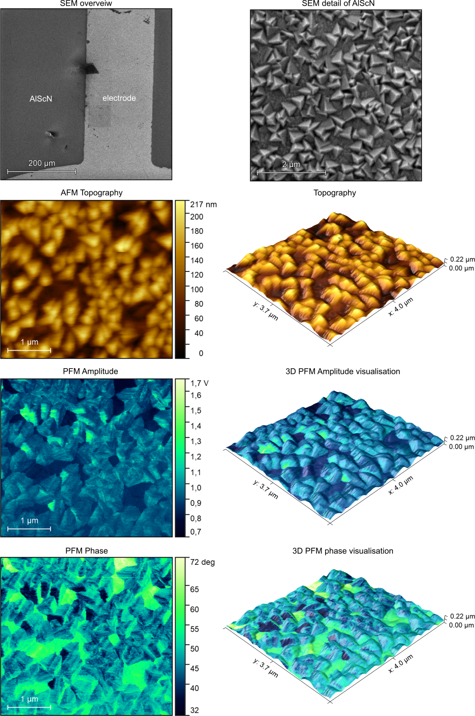 AFMinSEM analysis of AlScN ceramic film