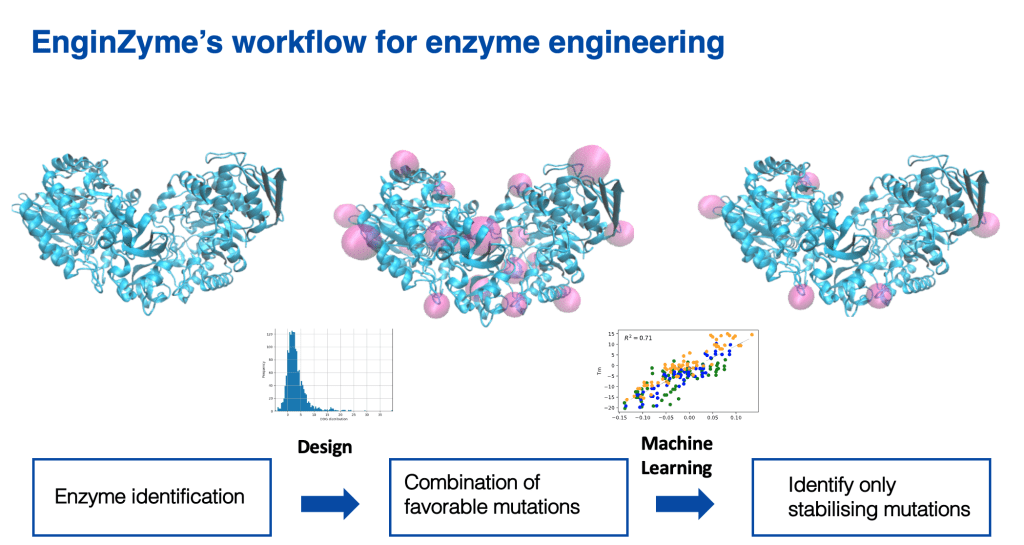 EnginZyme Insight Machine learning for enhanced in silico enzyme