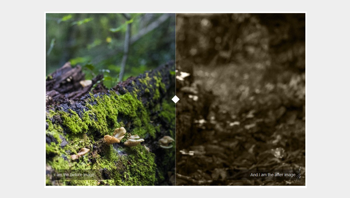 IMAGE COMPARISON SLIDER