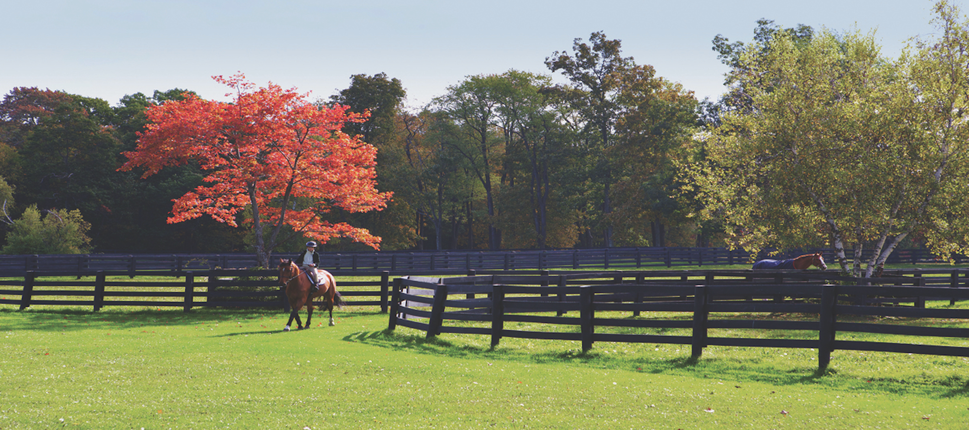 Luxury listing of the day Equestrian paradise in Dutchess County, N.Y.