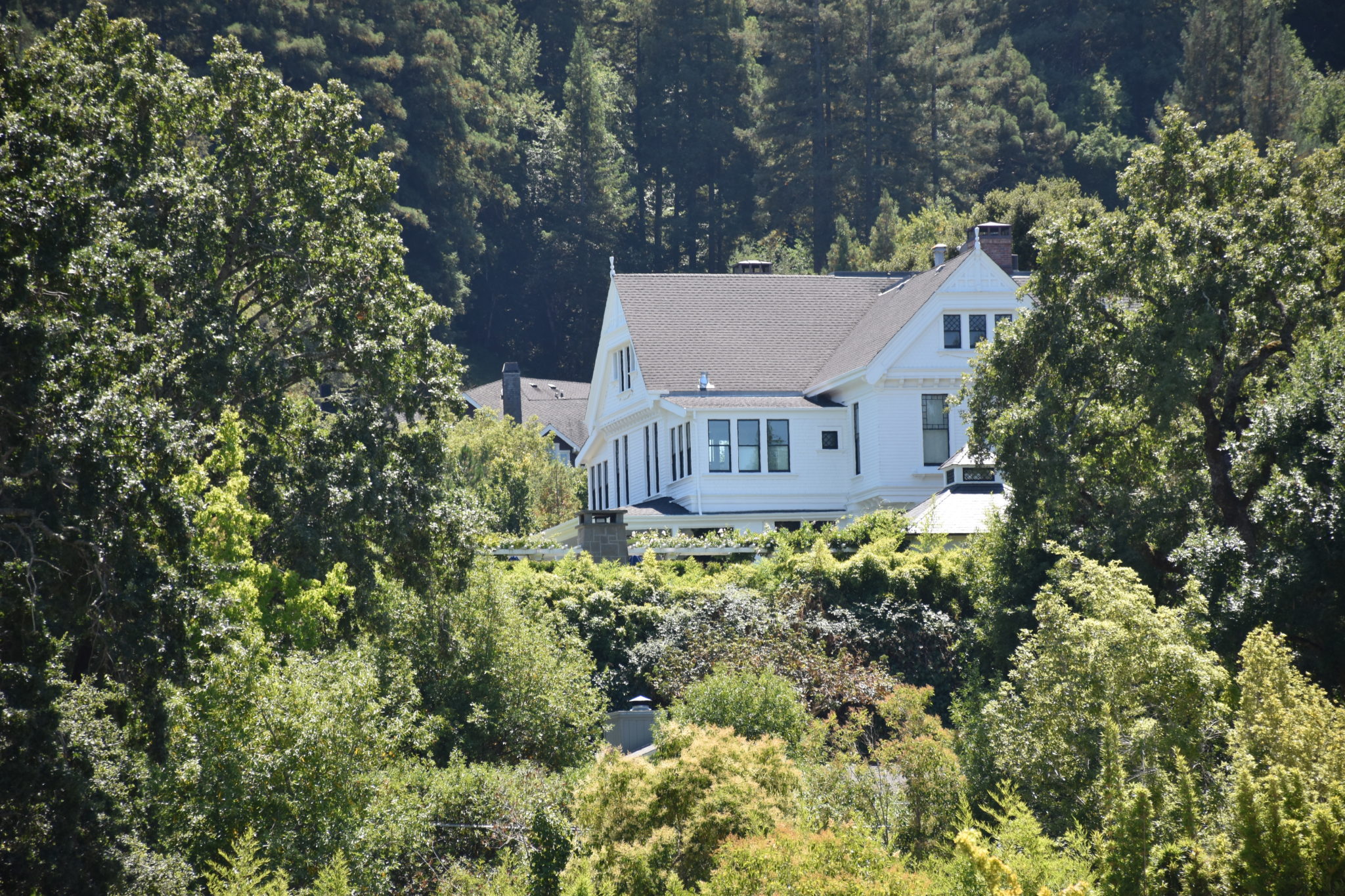 Community Spotlight Ross Inman