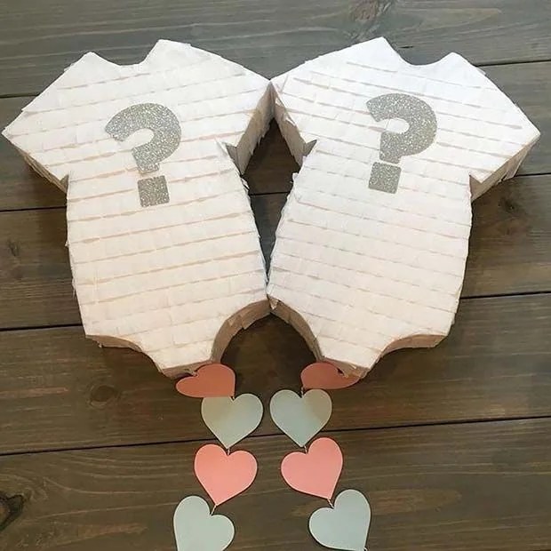 21 Exciting Twin Gender Reveal Ideas Celebrate Your Double Blessing WBS