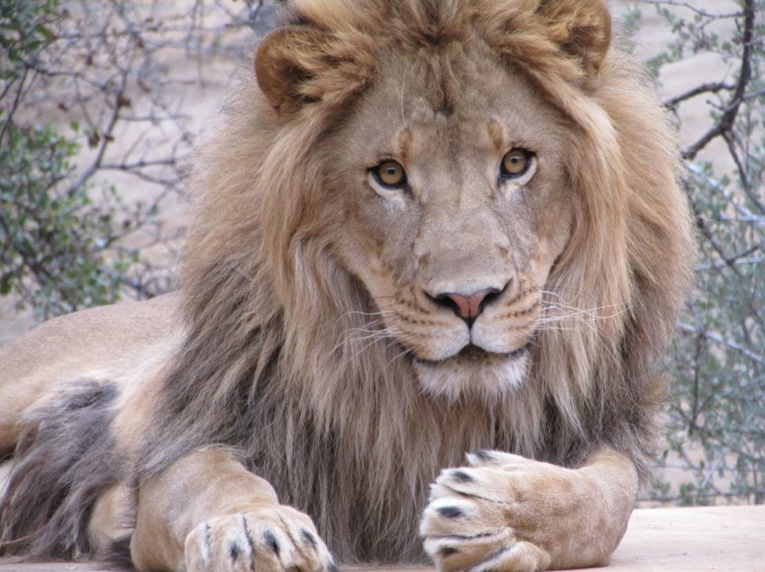 Fresno Four November 2018 ber Realty Group