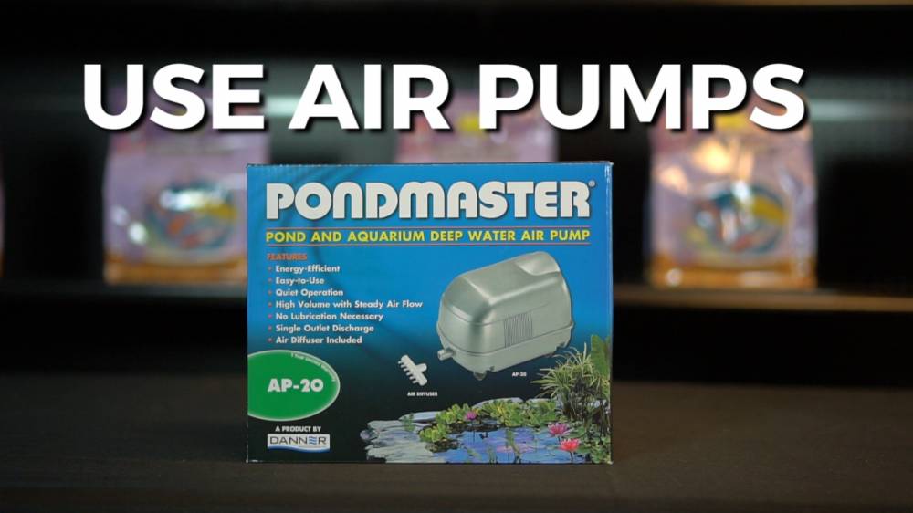 The Ultimate Pond Cleaning Checklist Best Prices on Everything for