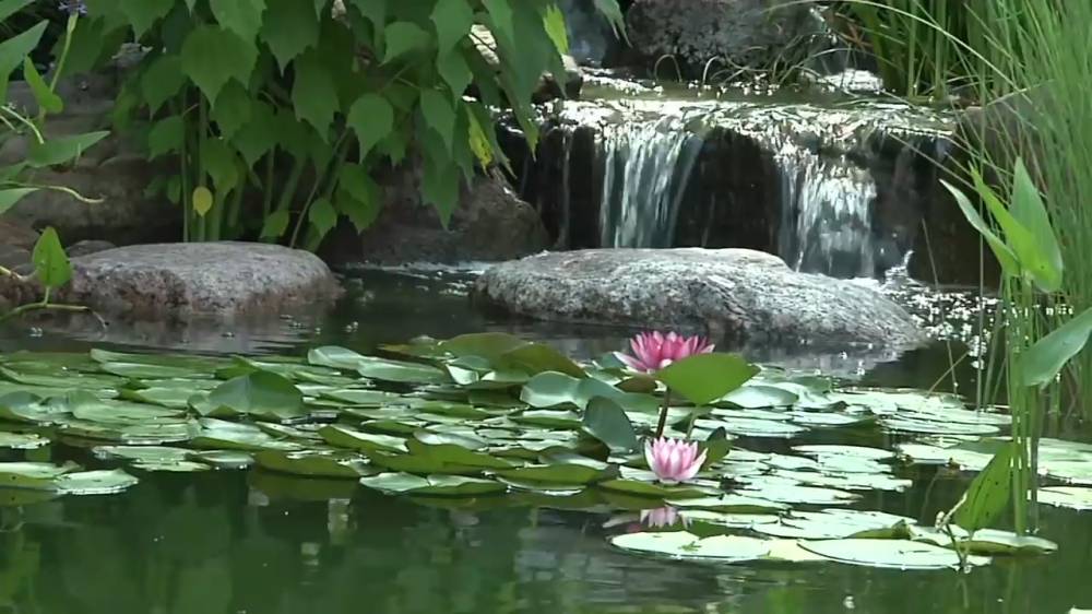 Cloudy Water and Flocculants Best Prices on Everything for Ponds and Water Gardens b's