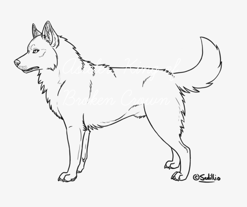 Top 10 Best Animals to Draw (Step By Step)