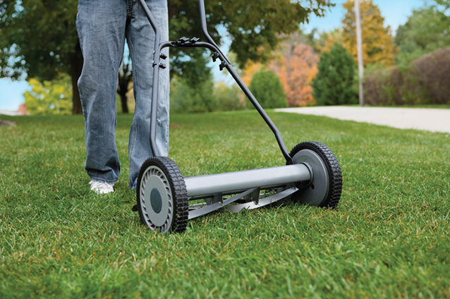 Go Green in Your Lawn and Garden This Spring Webb Weekly