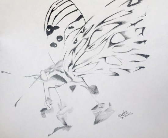 Butterfly visual completion
