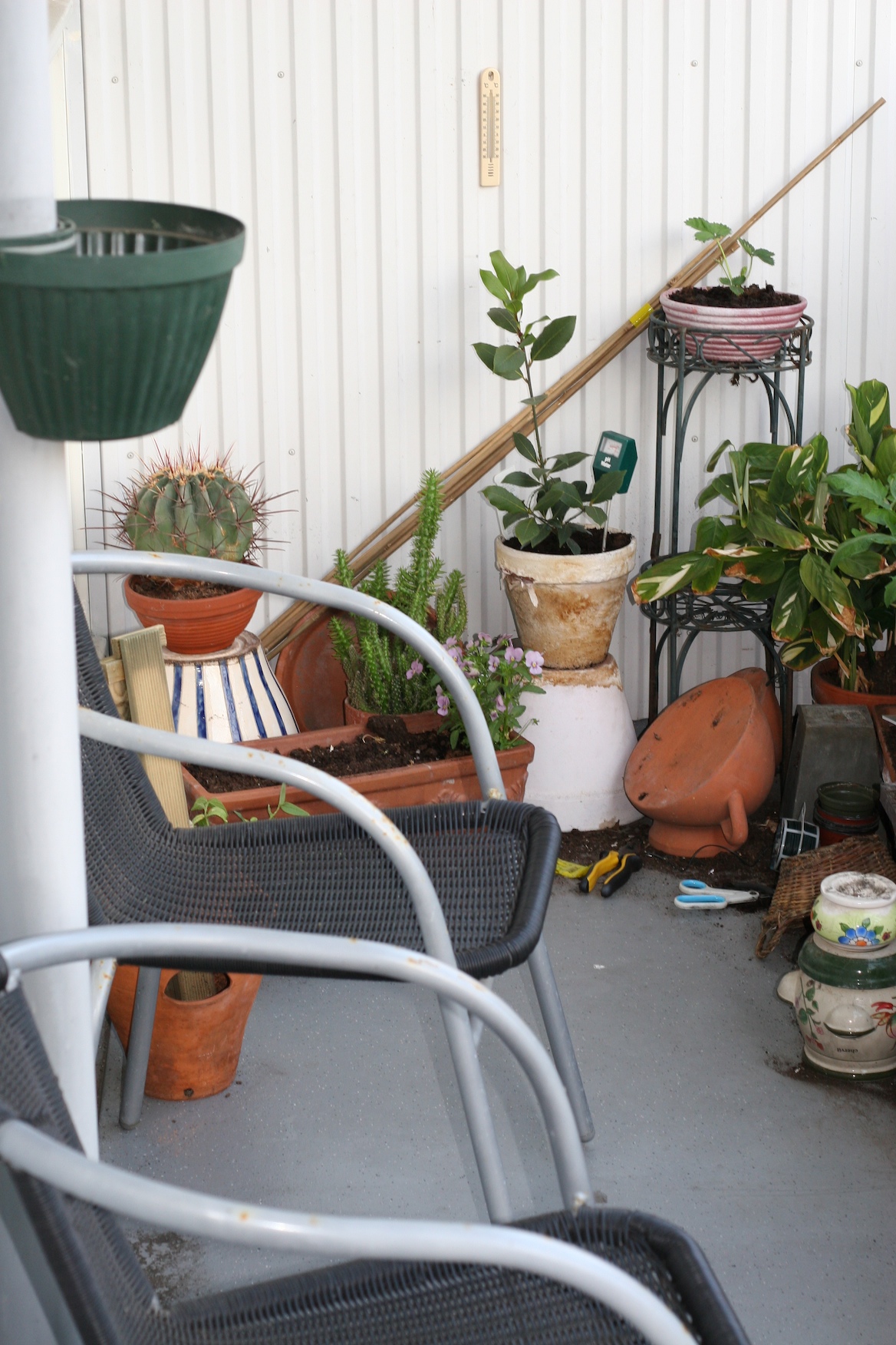 Moestuin op balkon