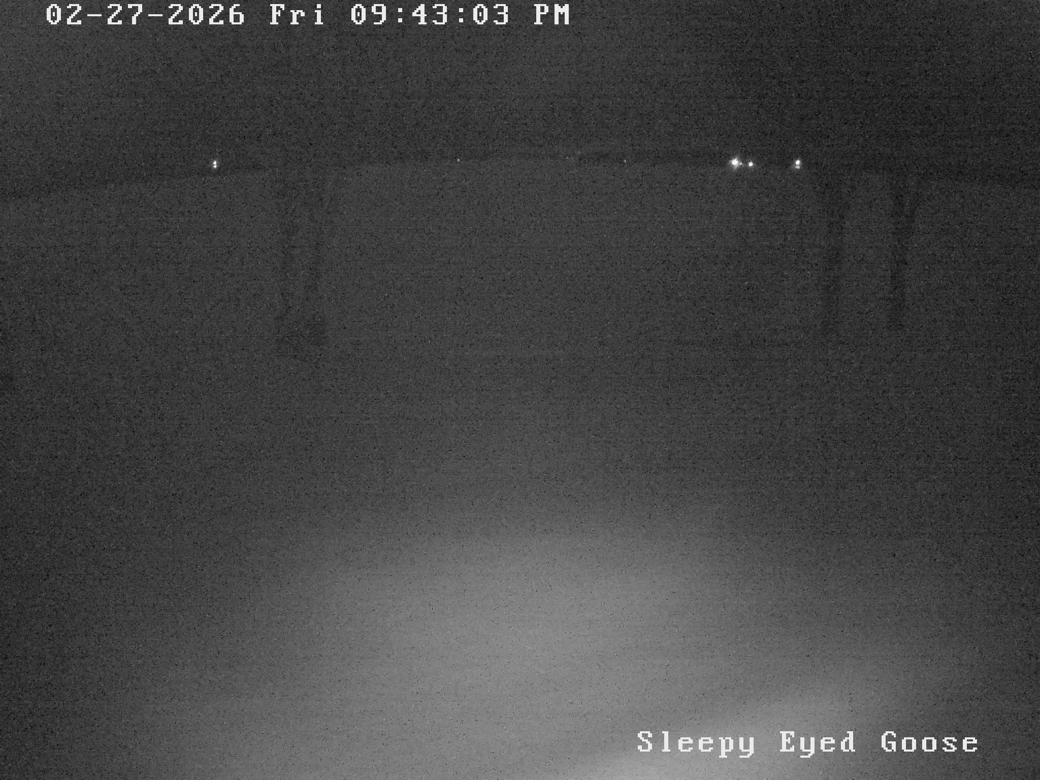 Sleepy Eyed Goose Resort Curtis MI cam